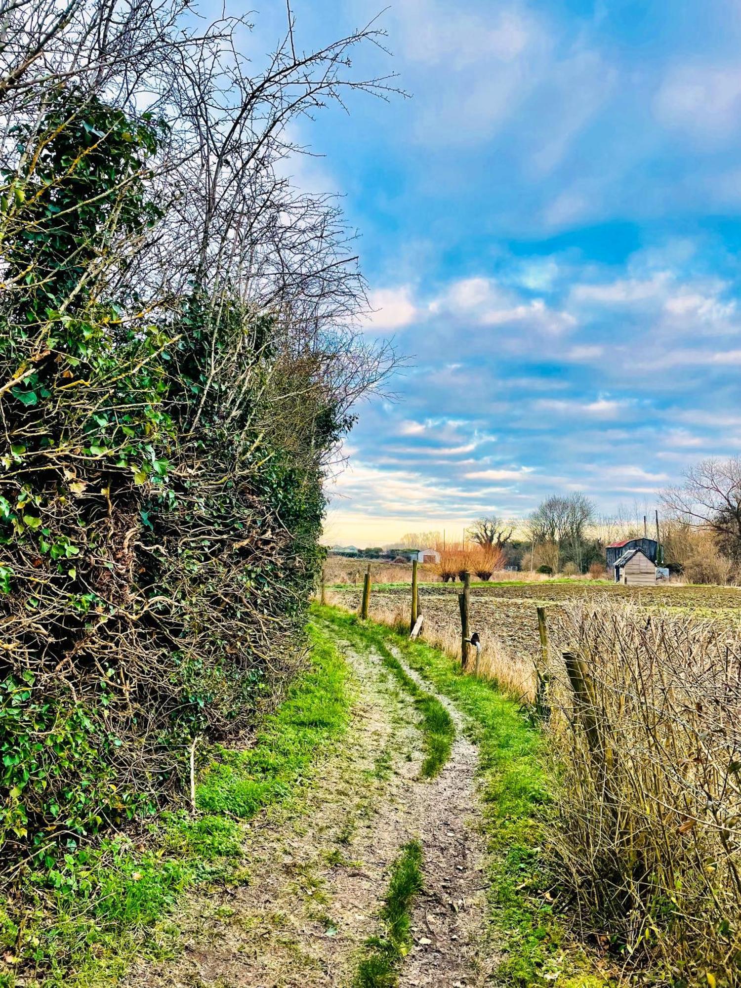 Guest House Gem In Wickhamford, Near Broadway Badsey Exteriör bild